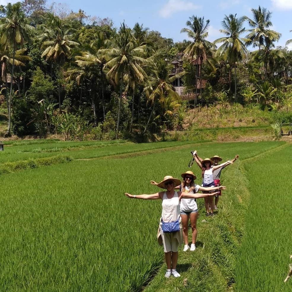 Mayong Bali Villa And Hostel Munduk  Luaran gambar