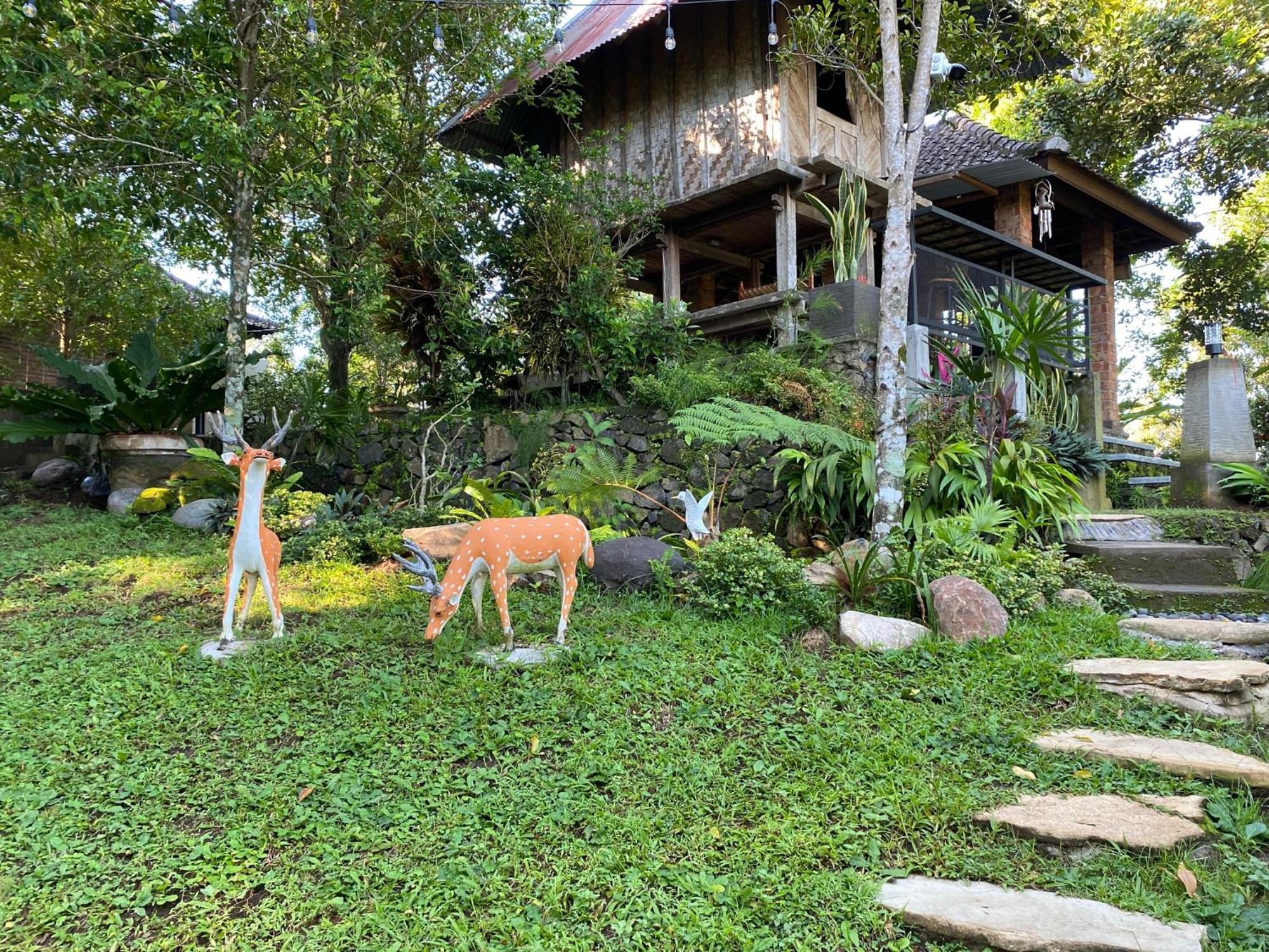 Mayong Bali Villa And Hostel Munduk  Luaran gambar