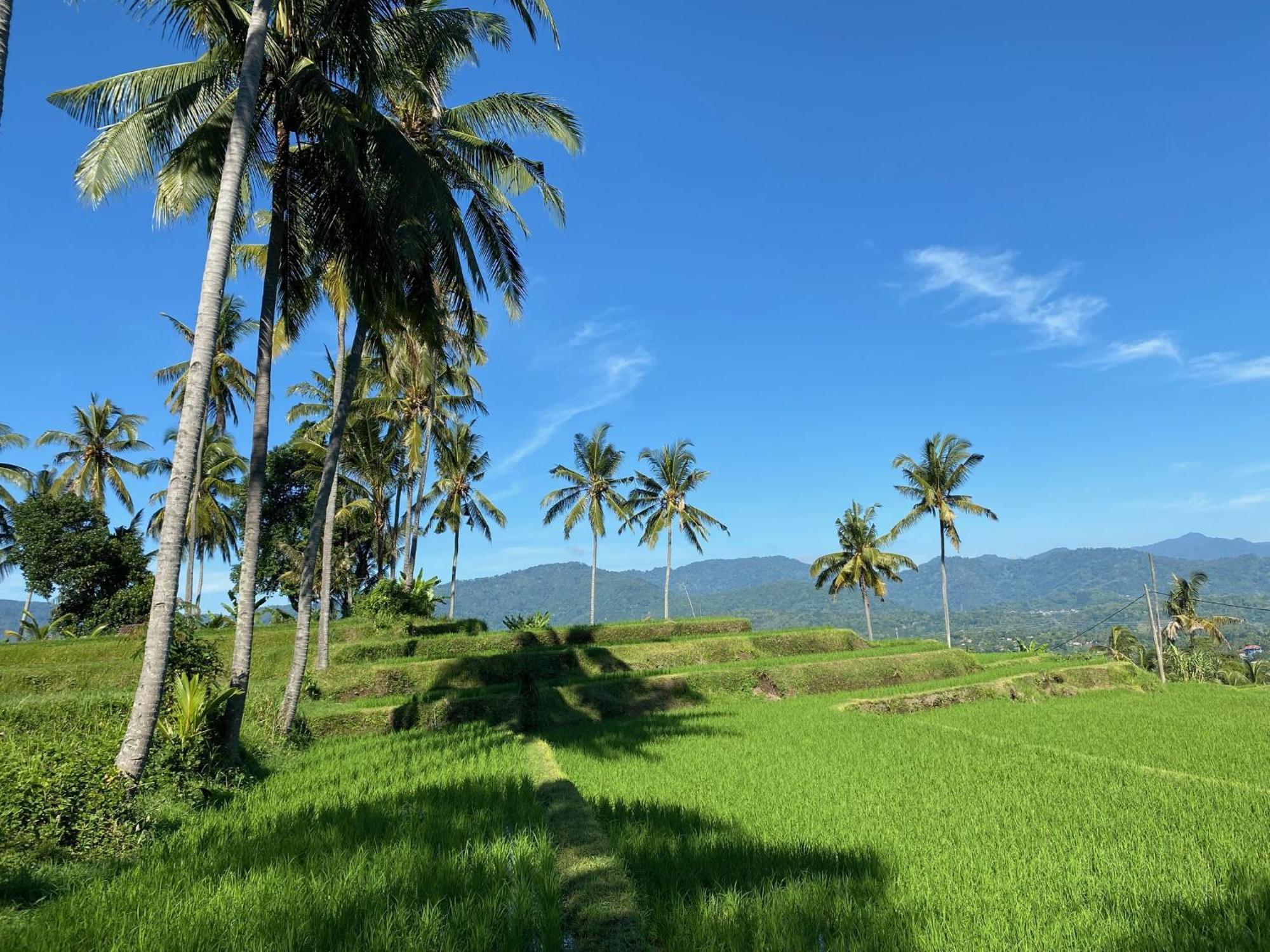 Mayong Bali Villa And Hostel Munduk  Luaran gambar